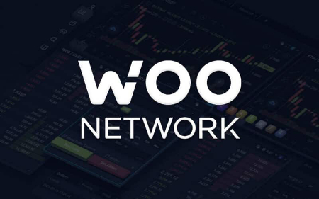 توکن WOO, بنیانگذاران شبکه WOO