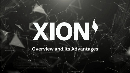 کارمزدهای تراکنش در زیون با هر توکنی قابل پرداخت است زیون بلاکچین, توکن XION