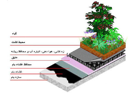 بام سبز,نکاتی برای درست کردن بام سبز