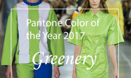 سبز روشن رنگ سال 2017, معرفی رنگ سال