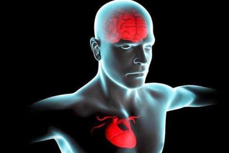مشکلات قلبی،اخبار پزشکی ،خبرهای پزشکی مشکلات قلبی,اخبار پزشکی ,خبرهای پزشکی