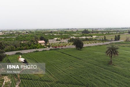  ,اخبارگوناگون,خبرهای گوناگون 