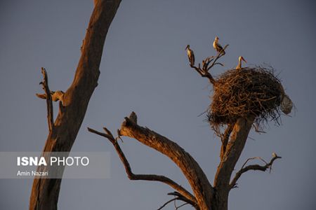  ,اخبارگوناگون,خبرهای گوناگون 