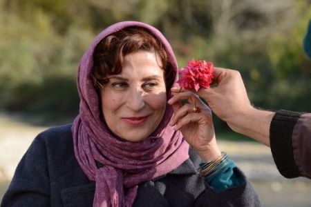 بنفشه آفریقایی,اخبار فرهنگی,خبرهای فرهنگی 