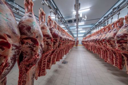 قیمت گوشت ،اخباراقتصادی ،خبرهای اقتصادی قیمت گوشت ,اخباراقتصادی ,خبرهای اقتصادی