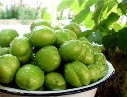 میوه های نوبرانه،اخباراقتصادی ،خبرهای اقتصادی میوه های نوبرانه,اخباراقتصادی ,خبرهای اقتصادی