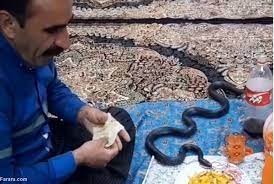 دوستی با مارها ،اخباراجتماعی ،خبرهای اجتماعی دوستی با مارها,اخبار اجتماعی ,خبرهای اجتماعی