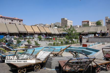   مولوی در یک روز سیاه کرونایی,اخبار اجتماعی ,خبرهای اجتماعی 