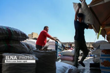   مولوی در یک روز سیاه کرونایی,اخبار اجتماعی ,خبرهای اجتماعی 