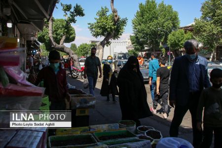   مولوی در یک روز سیاه کرونایی,اخبار اجتماعی ,خبرهای اجتماعی 