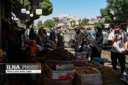   مولوی در یک روز سیاه کرونایی,اخبار اجتماعی ,خبرهای اجتماعی 