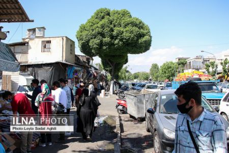   مولوی در یک روز سیاه کرونایی,اخبار اجتماعی ,خبرهای اجتماعی 
