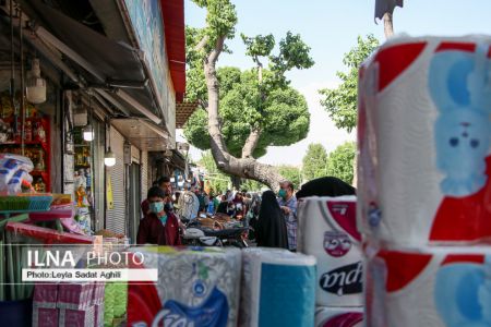   مولوی در یک روز سیاه کرونایی,اخبار اجتماعی ,خبرهای اجتماعی 