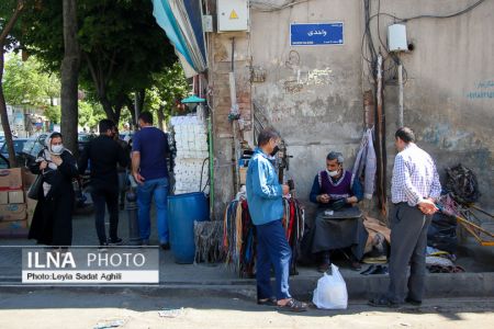   مولوی در یک روز سیاه کرونایی,اخبار اجتماعی ,خبرهای اجتماعی 