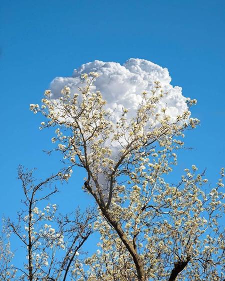 عکسهای زیبا و مفهومی،اخبارگوناگون,خبرهای گوناگون عکسهای زیبا و مفهومی,اخبارگوناگون,خبرهای گوناگون