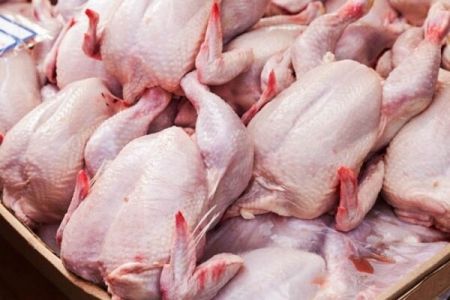 مرغ،اخباراقتصادی ،خبرهای اقتصادی مرغ,اخباراقتصادی ,خبرهای اقتصادی