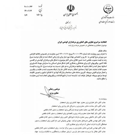 مرغ،اخباراقتصادی ،خبرهای اقتصادی مرغ,اخباراقتصادی ,خبرهای اقتصادی