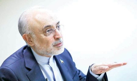علیاکبر صالحی،اخبارسیاسی ،خبرهای سیاسی علیاکبر صالحی,اخبارسیاسی ,خبرهای سیاسی