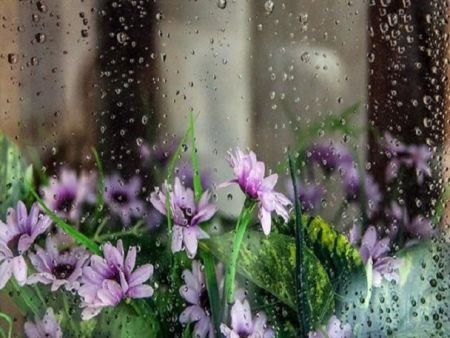 هواشناسی،اخباراجتماعی ،خبرهای اجتماعی هواشناسی,اخبار اجتماعی ,خبرهای اجتماعی