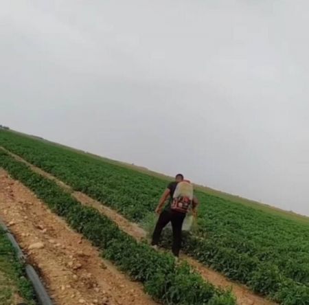آرمان علیزاده عبدولی،اخبار ورزشی،خبرهای ورزشی آرمان علیزاده عبدولی،اخبار ورزشی،خبرهای ورزشی