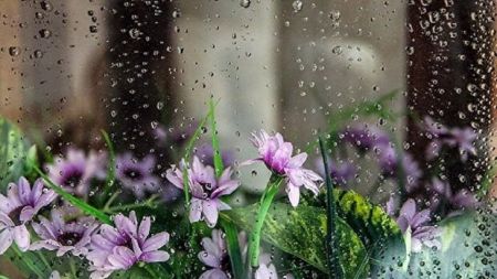 وضعیت آب و هوای کشور،اخبار اجتماعی،خبرهای اجتماعی وضعیت آب و هوای کشور،اخبار اجتماعی،خبرهای اجتماعی