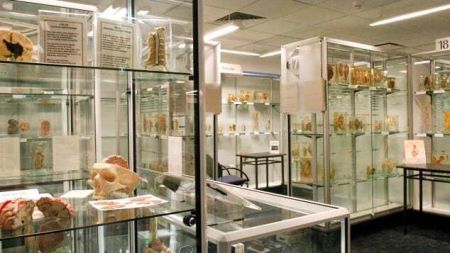 عجیبترین موزههای پزشکی جهان،اخبار گوناگون،خبرهای گوناگون عجیبترین موزههای پزشکی جهان،اخبار گوناگون،خبرهای گوناگون