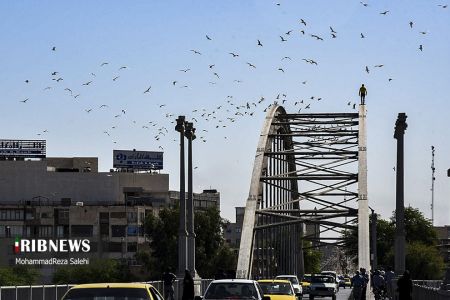پل سفید،اخباراجتماعی ،خبرهای اجتماعی پل سفید,اخبار اجتماعی ,خبرهای اجتماعی