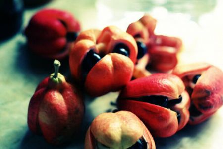 خطرناکترین غذاها،اخبارگوناگون,خبرهای گوناگون خطرناکترین غذاها,اخبارگوناگون,خبرهای گوناگون