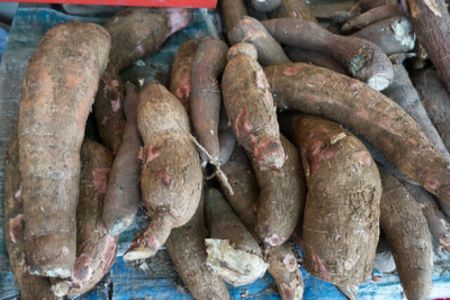 خطرناکترین غذاها،اخبارگوناگون,خبرهای گوناگون خطرناکترین غذاها,اخبارگوناگون,خبرهای گوناگون