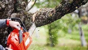 ،اخباراجتماعی ،خبرهای اجتماعی ,اخبار اجتماعی ,خبرهای اجتماعی