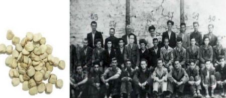 معروفترین فجایع،اخبارگوناگون,خبرهای گوناگون معروفترین فجایع,اخبارگوناگون,خبرهای گوناگون