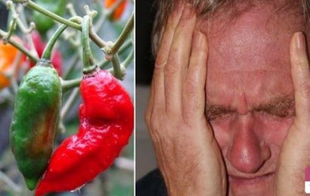 معروفترین فجایع،اخبارگوناگون,خبرهای گوناگون معروفترین فجایع,اخبارگوناگون,خبرهای گوناگون