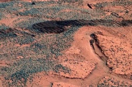 قارچ در مریخ,اخبار علمی ,خبرهای علمی 