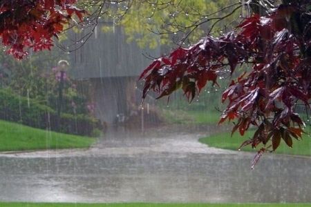 هواشناسی،اخباراجتماعی ،خبرهای اجتماعی هواشناسی ,اخبار اجتماعی ,خبرهای اجتماعی