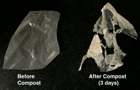 پلاستیک یکبار مصرف خودخورنده ,اخبار علمی ,خبرهای علمی 