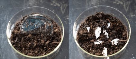 پلاستیک یکبار مصرف خودخورنده،اخبار علمی،خبرهای علمی پلاستیک یکبار مصرف خودخورنده ,اخبار علمی ,خبرهای علمی