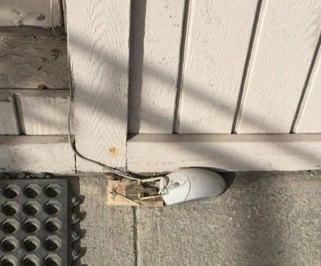 عکس های عجیب و غریب ولی واقعی