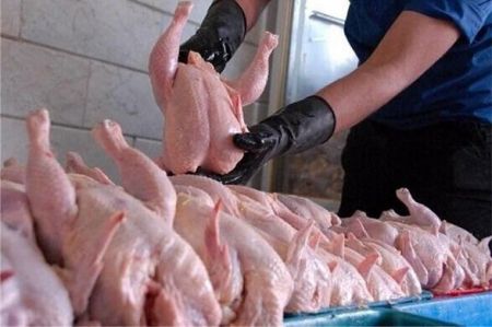 قیمت مرغ،اخبار امروز،اخبار جدید قیمت مرغ,اخبار امروز,اخبار جدید