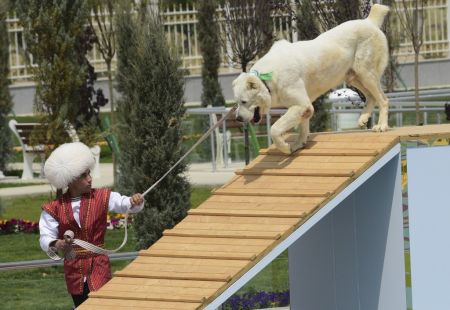 جشن ملی در ترکمنستان به احترام نژاد سگ آلابای،اخبار گوناگون،خبرهای گوناگون