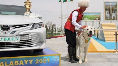 جشن ملی در ترکمنستان به احترام نژاد سگ آلابای،اخبار گوناگون،خبرهای گوناگون