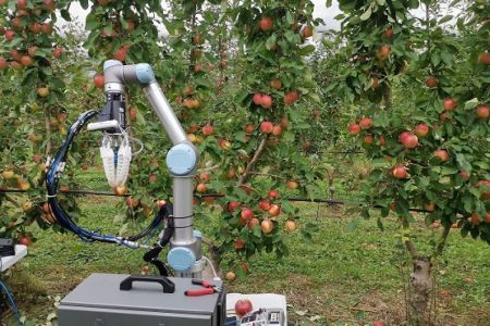 رباتی برای چیدن سیب،اخبار علمی،خبرهای علمی