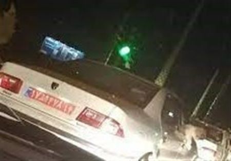 مدیر سگ گردان با خودروی دولتی،اخبار اجتماعی،خبرهای اجتماعی مدیر سگ گردان با خودروی دولتی،اخبار اجتماعی،خبرهای اجتماعی