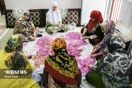 ) آیین ملی و مذهبی گل غلتان ،اخبارگوناگون,خبرهای گوناگون ) آیین ملی و مذهبی گل غلتان,اخبارگوناگون,خبرهای گوناگون