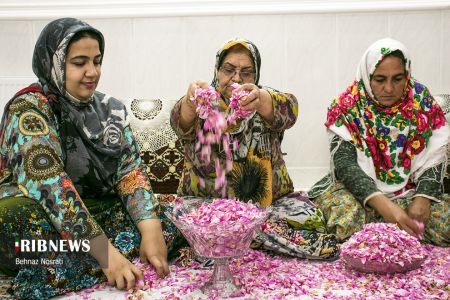 ) آیین ملی و مذهبی گل غلتان ،اخبارگوناگون,خبرهای گوناگون ) آیین ملی و مذهبی گل غلتان,اخبارگوناگون,خبرهای گوناگون