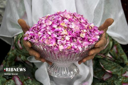 ) آیین ملی و مذهبی گل غلتان ،اخبارگوناگون,خبرهای گوناگون ) آیین ملی و مذهبی گل غلتان,اخبارگوناگون,خبرهای گوناگون