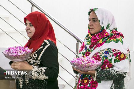 ) آیین ملی و مذهبی گل غلتان ،اخبارگوناگون,خبرهای گوناگون ) آیین ملی و مذهبی گل غلتان,اخبارگوناگون,خبرهای گوناگون
