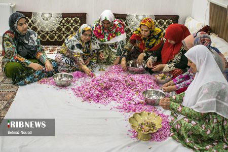 ) آیین ملی و مذهبی گل غلتان ،اخبارگوناگون,خبرهای گوناگون ) آیین ملی و مذهبی گل غلتان,اخبارگوناگون,خبرهای گوناگون