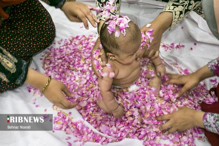 ) آیین ملی و مذهبی گل غلتان ،اخبارگوناگون,خبرهای گوناگون ) آیین ملی و مذهبی گل غلتان,اخبارگوناگون,خبرهای گوناگون
