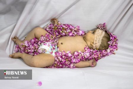 ) آیین ملی و مذهبی گل غلتان ،اخبارگوناگون,خبرهای گوناگون ) آیین ملی و مذهبی گل غلتان,اخبارگوناگون,خبرهای گوناگون