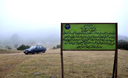 شکوفایی نادرترین گل جهان،اخبارگوناگون,خبرهای گوناگون شکوفایی نادرترین گل جهان,اخبارگوناگون,خبرهای گوناگون